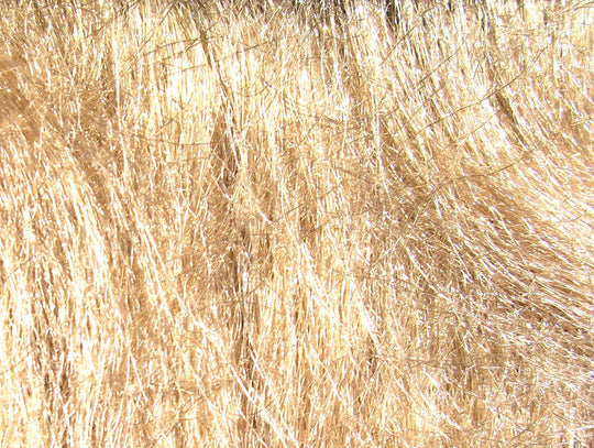 Hareline Senyo's Laser Hair 4.0