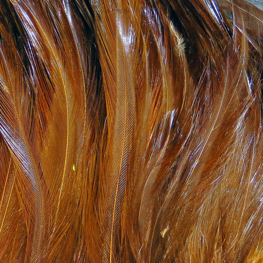 Hareline Saltwater Neck Hackle | Tailwaters Fly Fishing