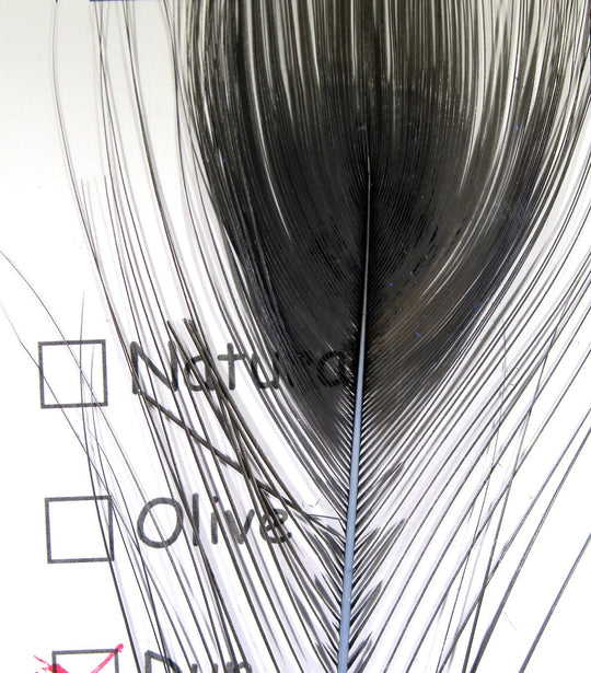 Hareline Stripped Peacock Eye | Tailwaters Fly Fishing