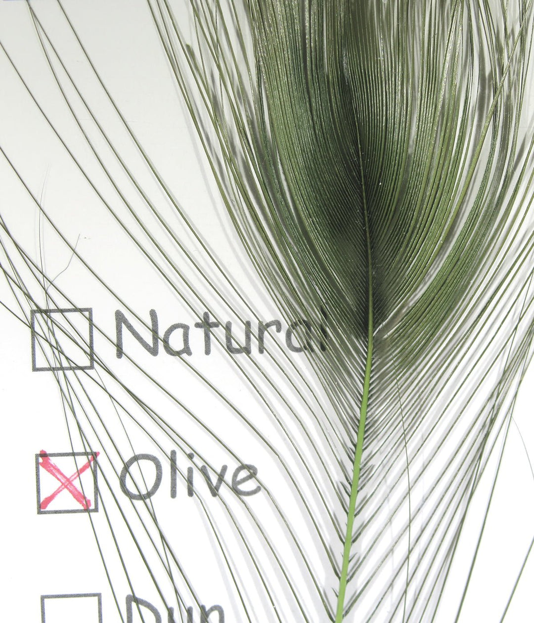 Hareline Stripped Peacock Eye | Tailwaters Fly Fishing