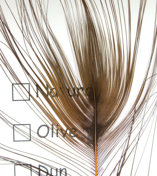Hareline Stripped Peacock Eye | Tailwaters Fly Fishing