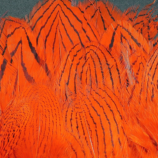 Hareline Pheasant Body Feathers