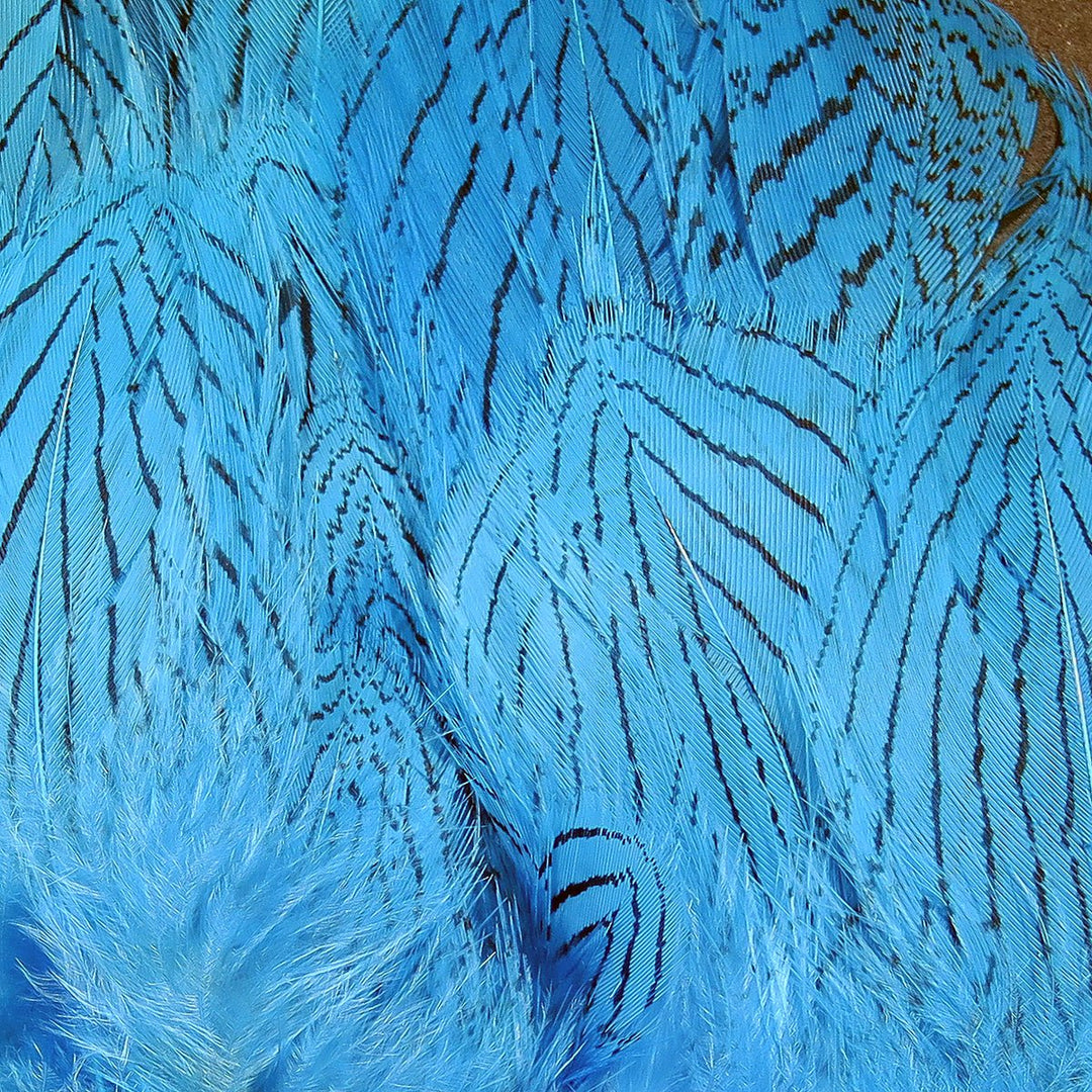 Hareline Pheasant Body Feathers | Tailwaters Fly Fishing