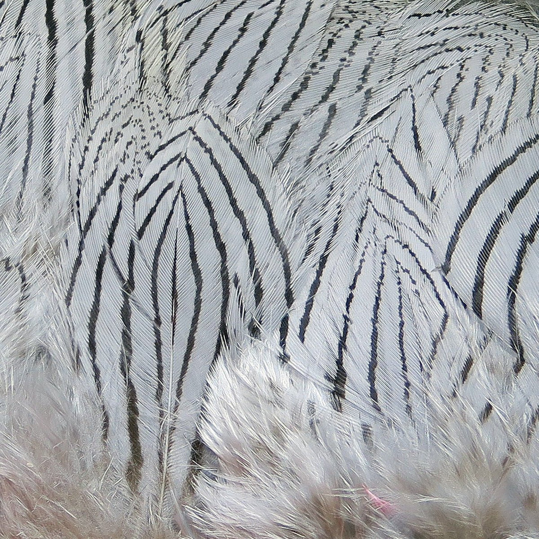 Hareline Pheasant Body Feathers