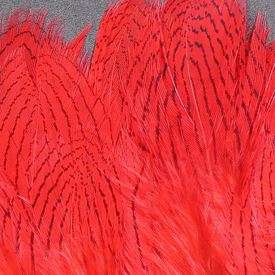 Hareline Pheasant Body Feathers | Tailwaters Fly Fishing
