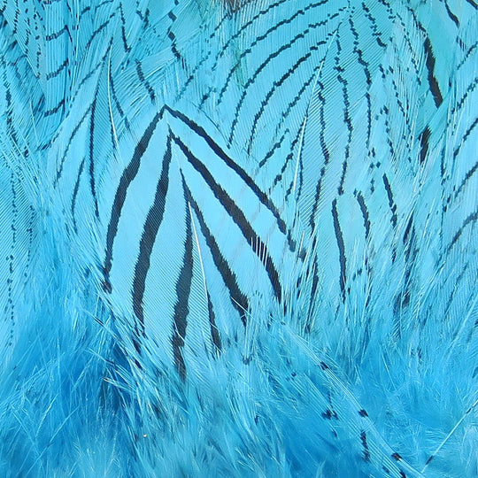 Hareline Pheasant Body Feathers