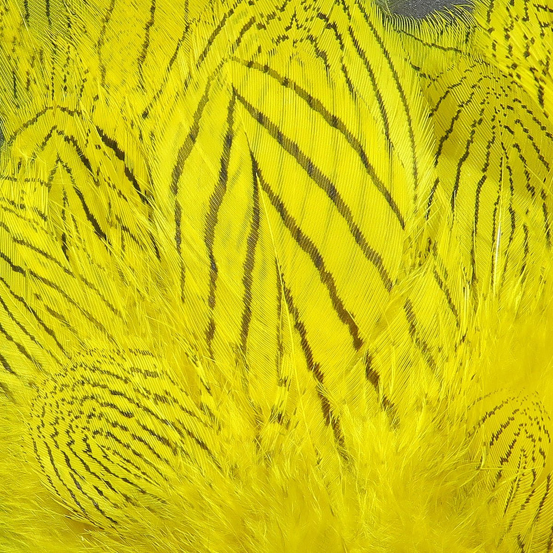 Hareline Pheasant Body Feathers