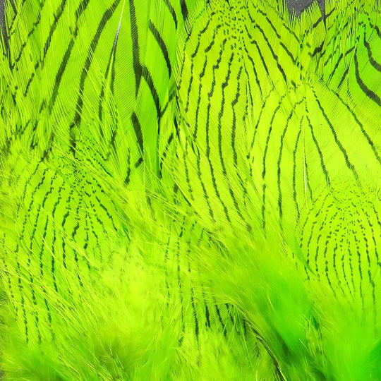 Hareline Pheasant Body Feathers