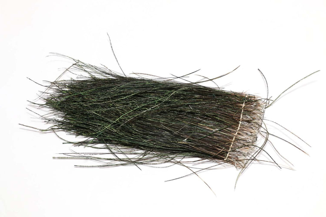 Hareline Strung Peacock Herl 8-10 | Tailwaters Fly Fishing