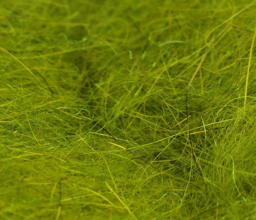 Hareline Squirrel Hair Dubbing | Tailwaters Fly Fishing