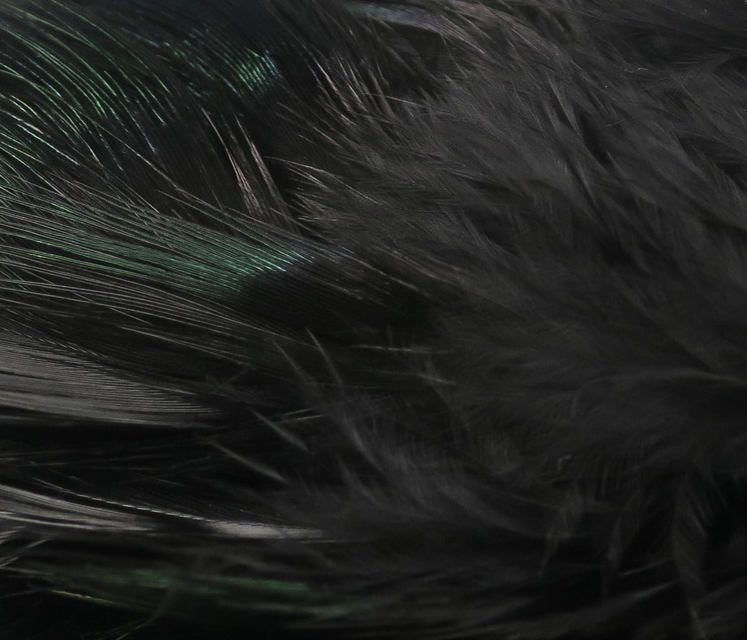 Hareline Strung Ringneck Rump Feathers