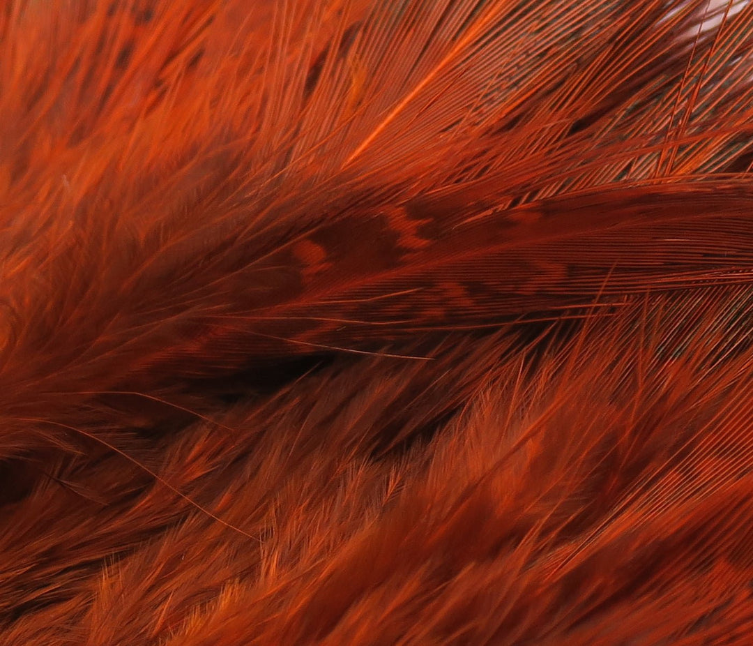 Hareline Strung Ringneck Rump Feathers