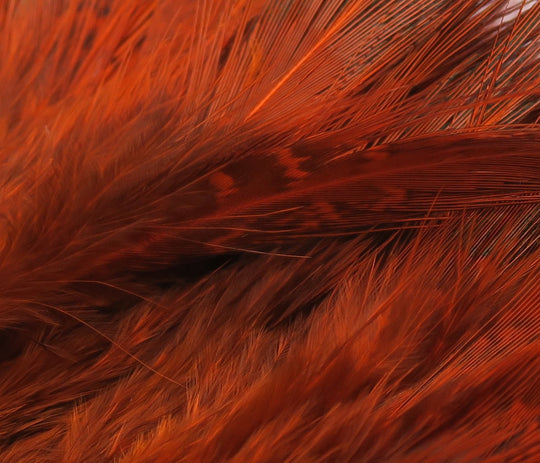 Hareline Strung Ringneck Rump Feathers