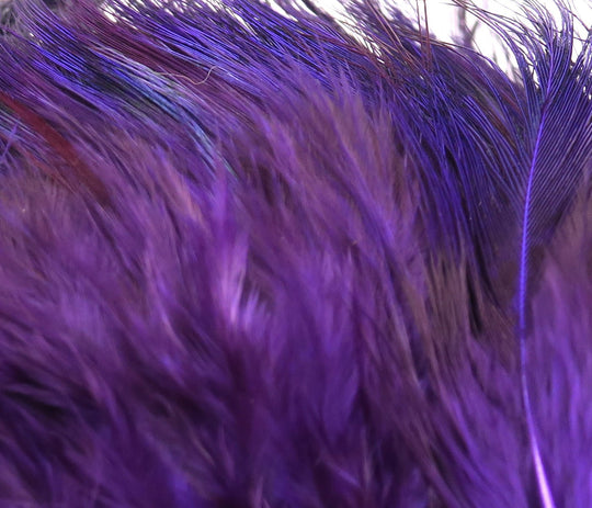 Hareline Strung Ringneck Rump Feathers | Tailwaters Fly Fishing