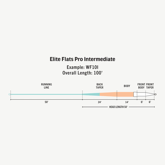 RIO Products Elite Flats Pro Clear Tip Fly Line, Taper, view 3