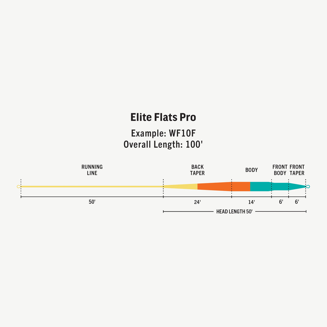 RIO Products Elite Flats Pro Clear Tip Fly Line, Taper, view 2