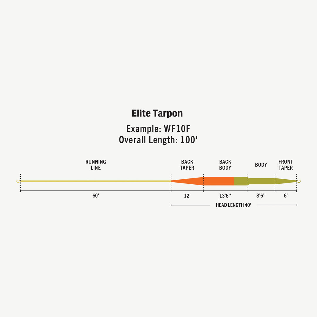 RIO Products Elite Tarpon Fly Line, Taper