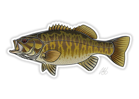 Casey Underwood Smallmouth Decal, Display
