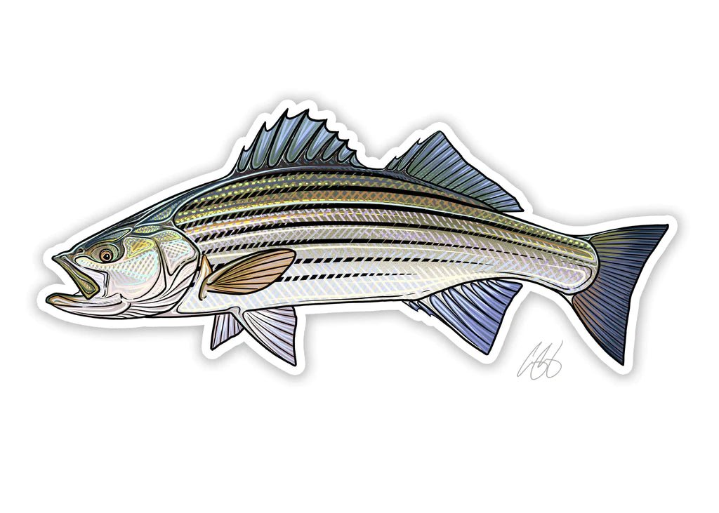 Casey Underwood Striper Decal | Tailwaters Fly Fishing