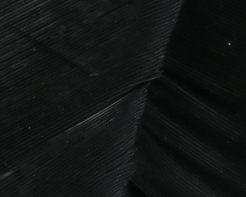 Hareline Turkey Biot Quills | Tailwaters Fly Fishing