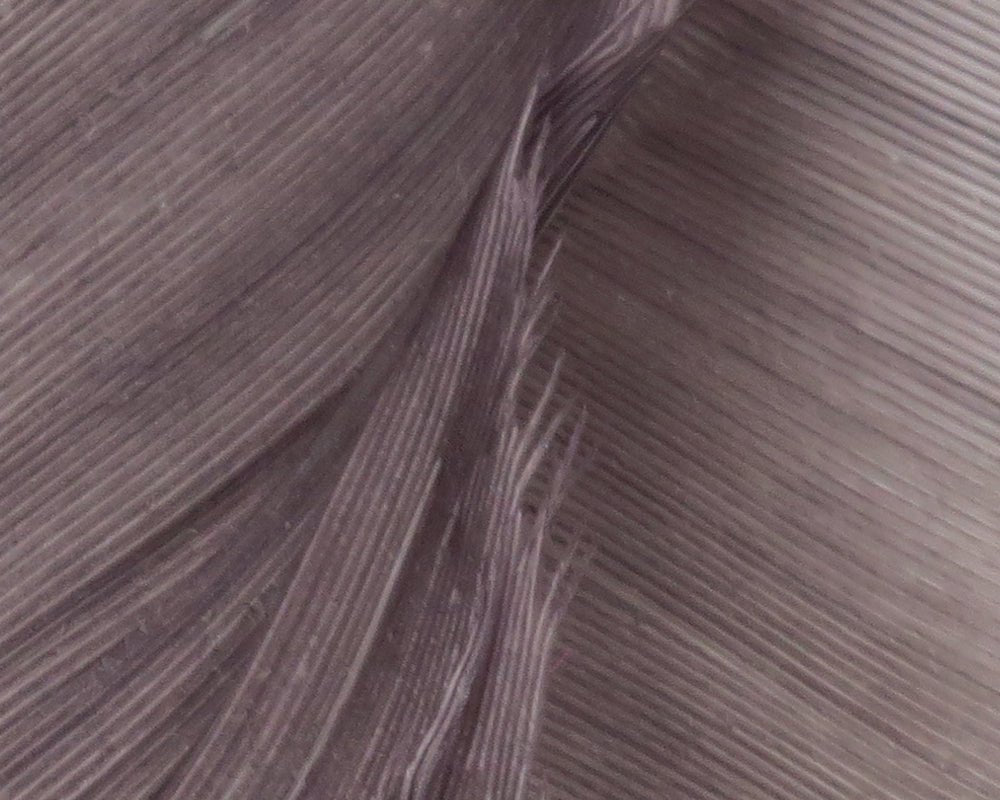 Hareline Turkey Biot Quills