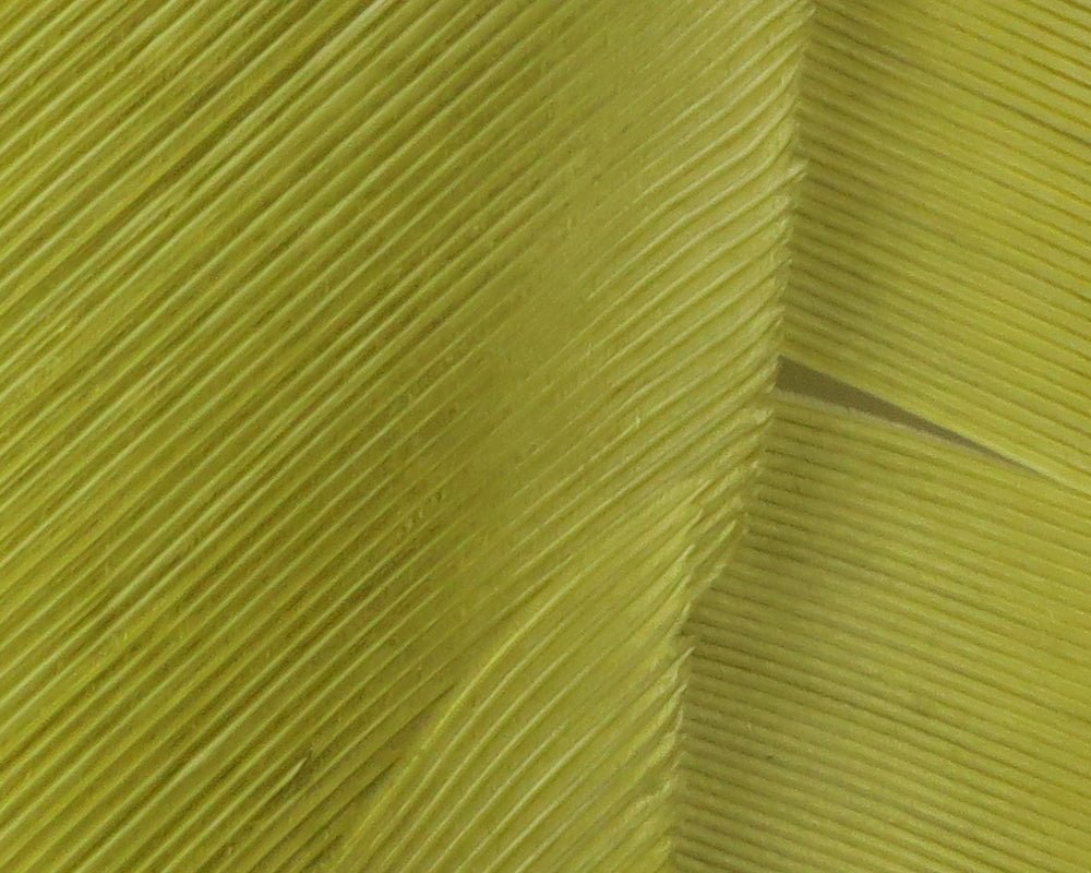 Hareline Turkey Biot Quills