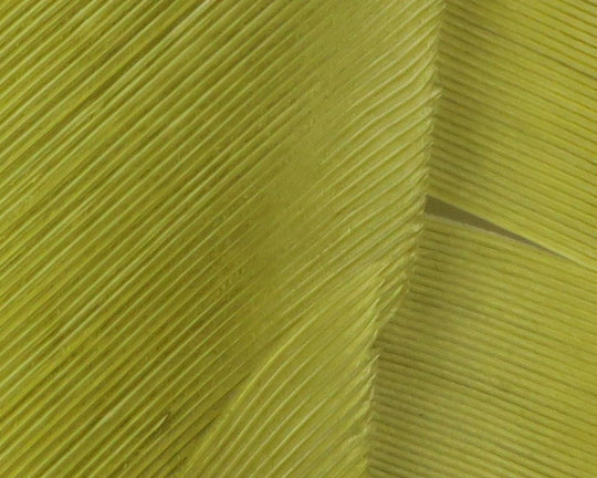 Hareline Turkey Biot Quills
