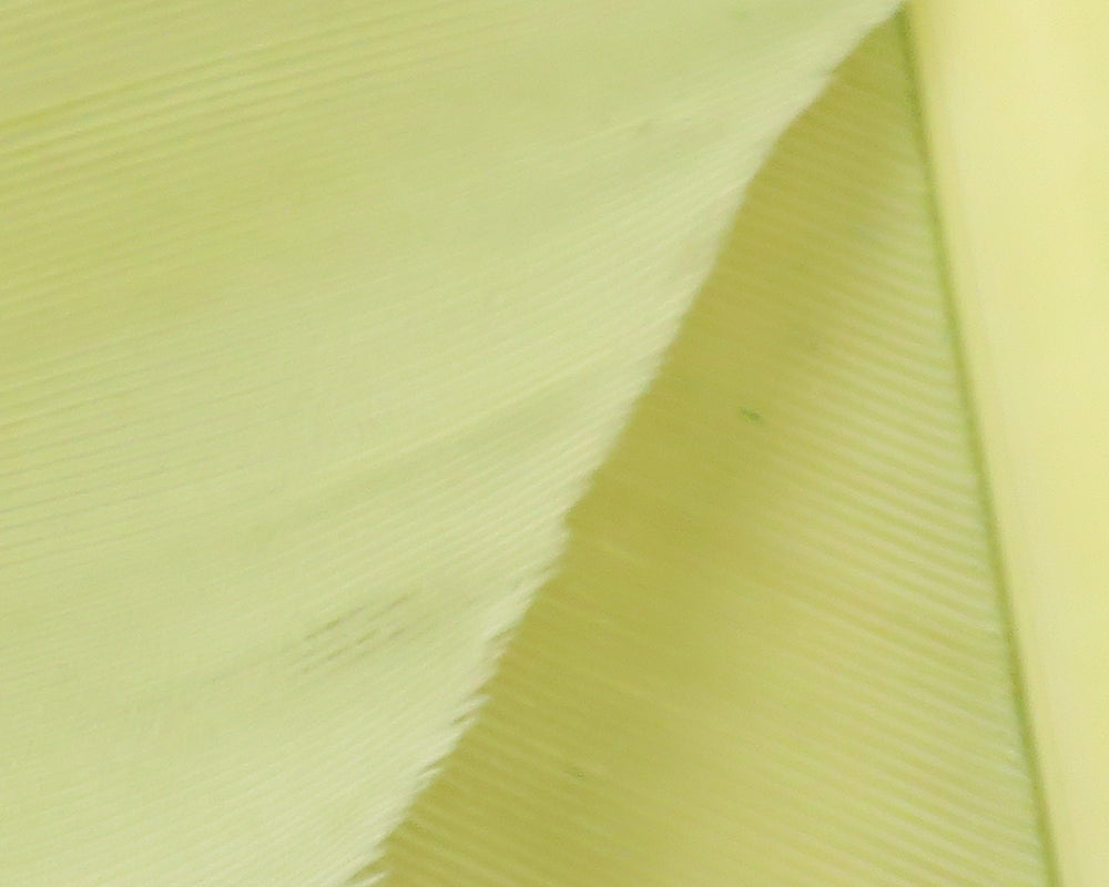 Hareline Turkey Biot Quills | Tailwaters Fly Fishing