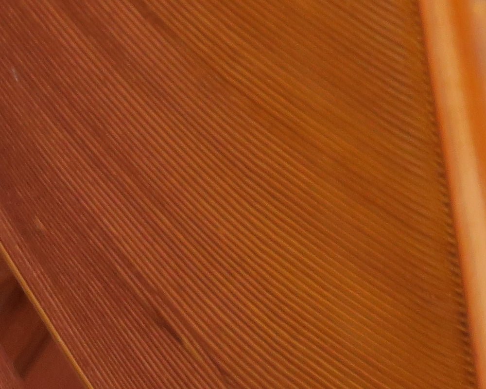 Hareline Turkey Biot Quills