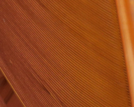 Hareline Turkey Biot Quills