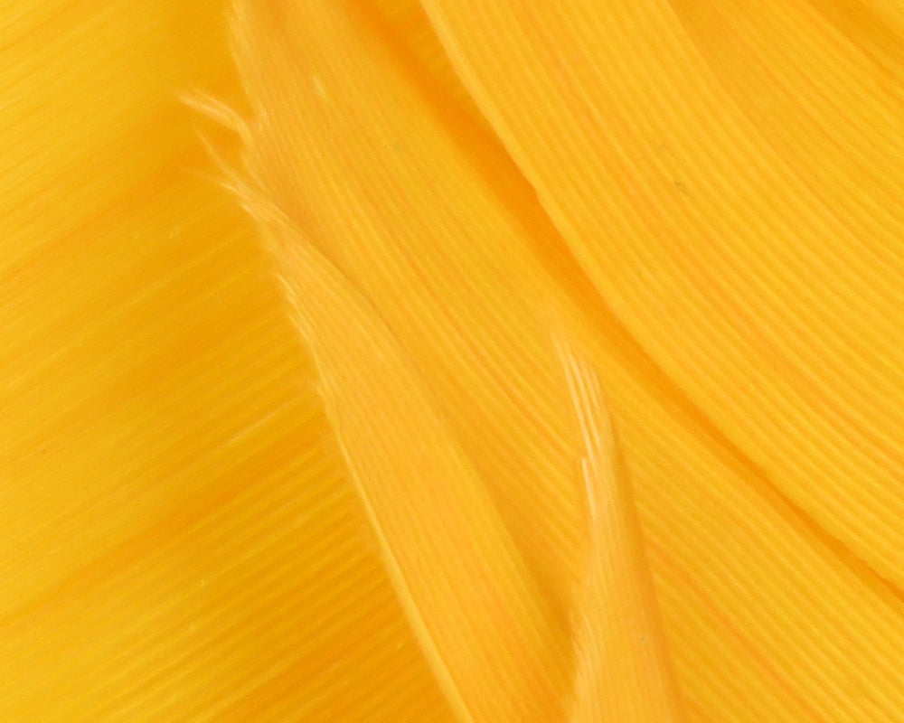 Hareline Turkey Biot Quills