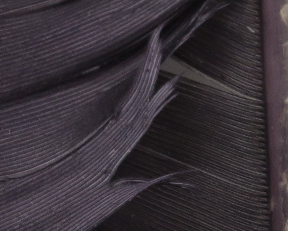 Hareline Turkey Biot Quills