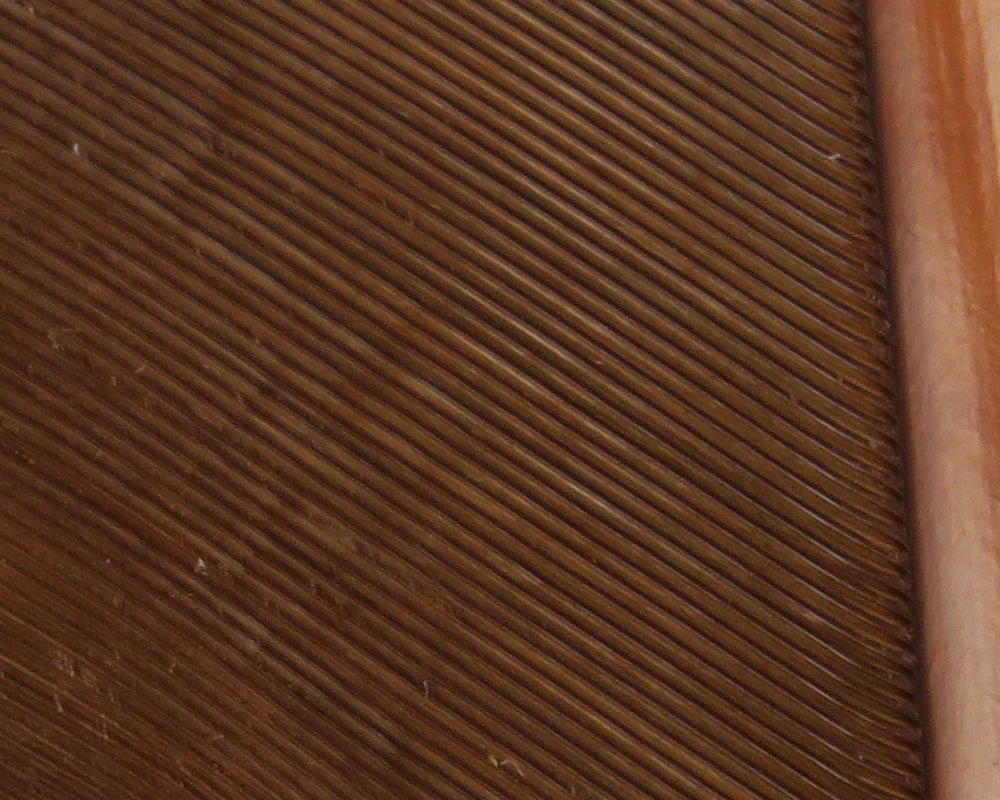Hareline Turkey Biot Quills | Tailwaters Fly Fishing