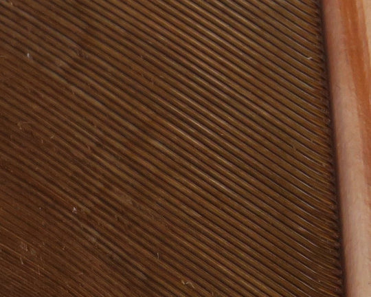 Hareline Turkey Biot Quills | Tailwaters Fly Fishing