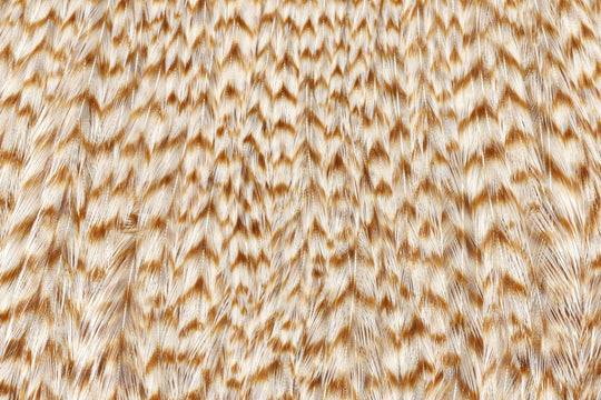 Hareline Keough's Tyer's Grade Cape