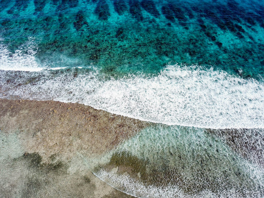 Belize - Turneffe Atoll Custom Fly Selection | Tailwaters Fly Fishing
