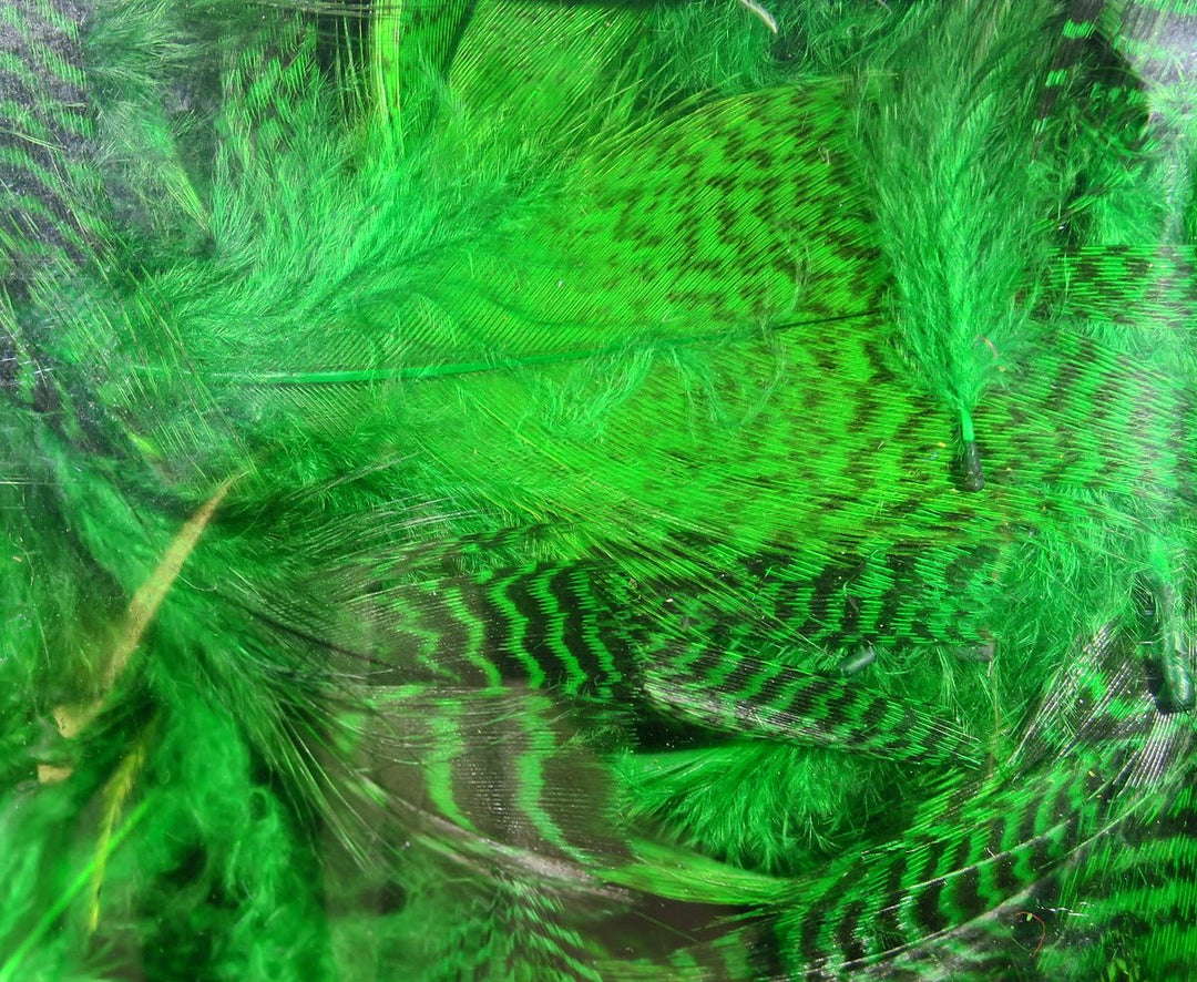 Hareline Teal Flank Feathers | Tailwaters Fly Fishing
