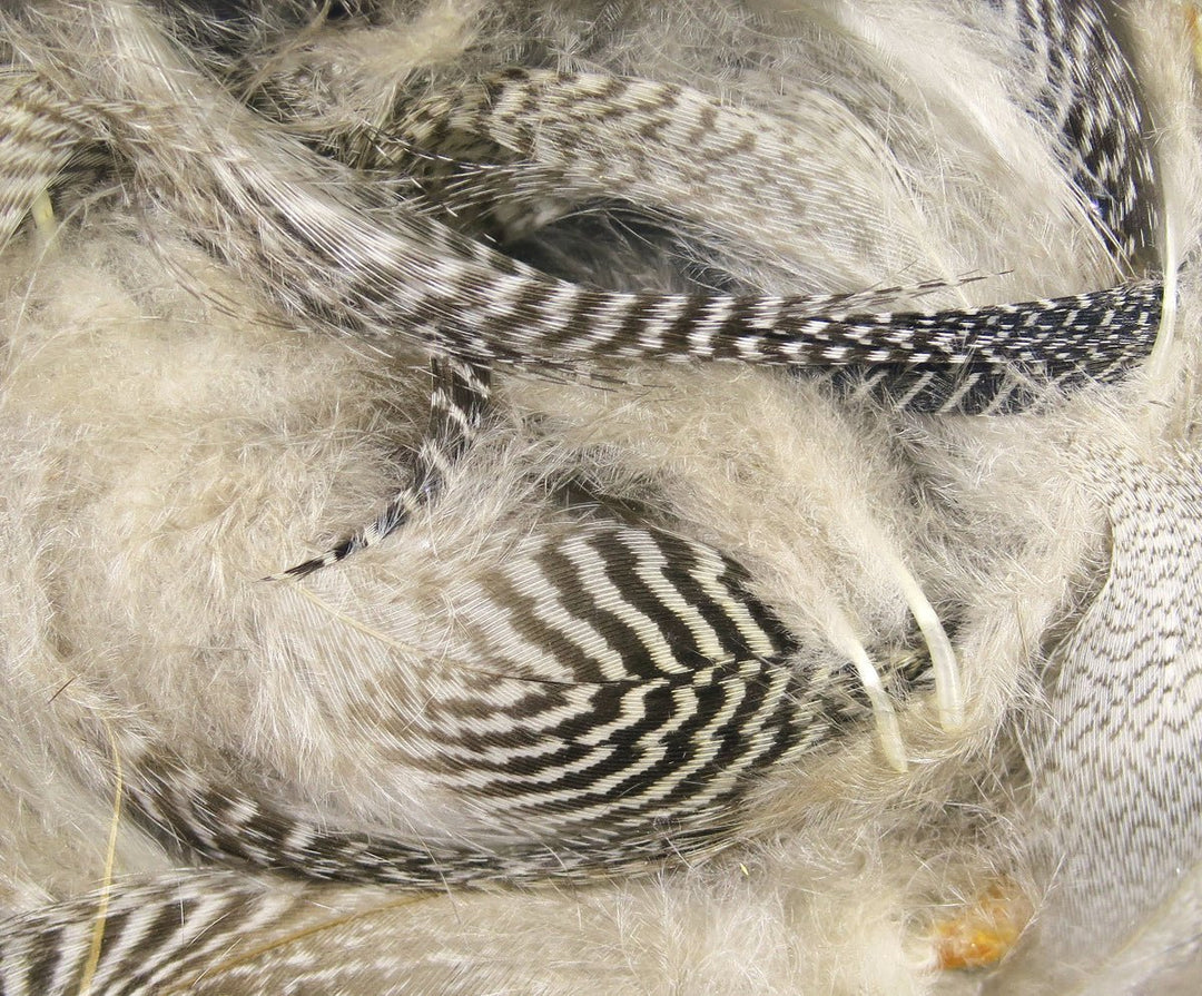 Hareline Teal Flank Feathers
