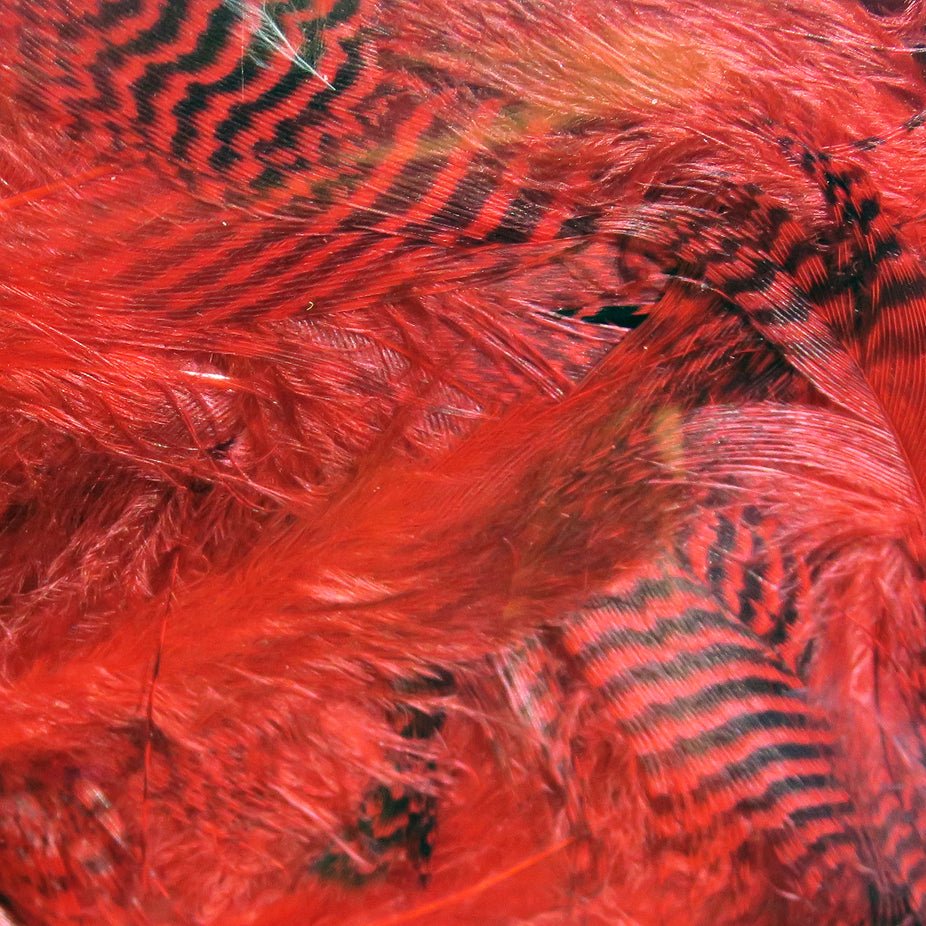 Hareline Teal Flank Feathers | Tailwaters Fly Fishing