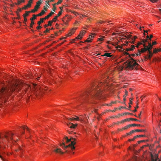 Hareline Teal Flank Feathers | Tailwaters Fly Fishing
