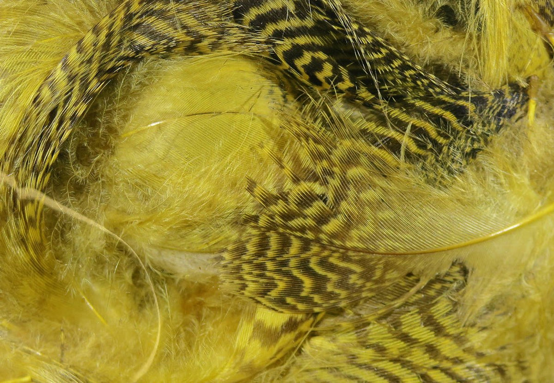 Hareline Teal Flank Feathers | Tailwaters Fly Fishing
