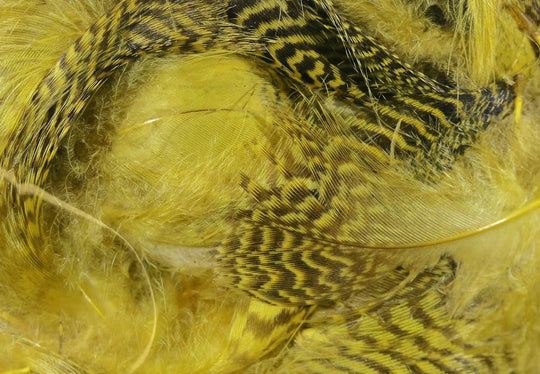 Hareline Teal Flank Feathers | Tailwaters Fly Fishing