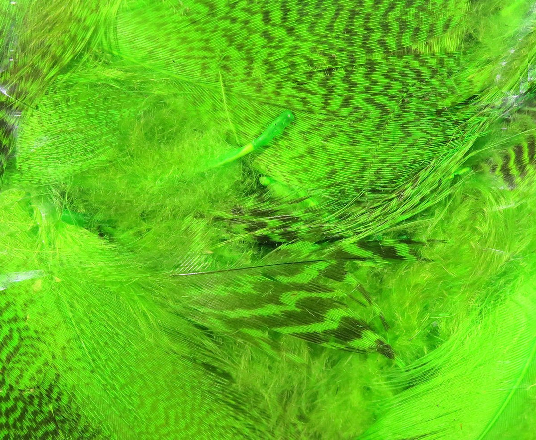 Hareline Teal Flank Feathers | Tailwaters Fly Fishing