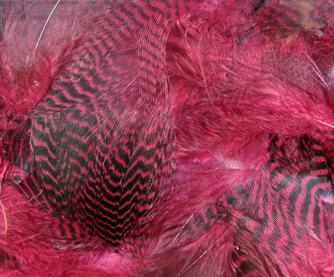 Hareline Teal Flank Feathers | Tailwaters Fly Fishing