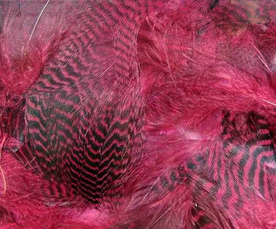 Hareline Teal Flank Feathers | Tailwaters Fly Fishing