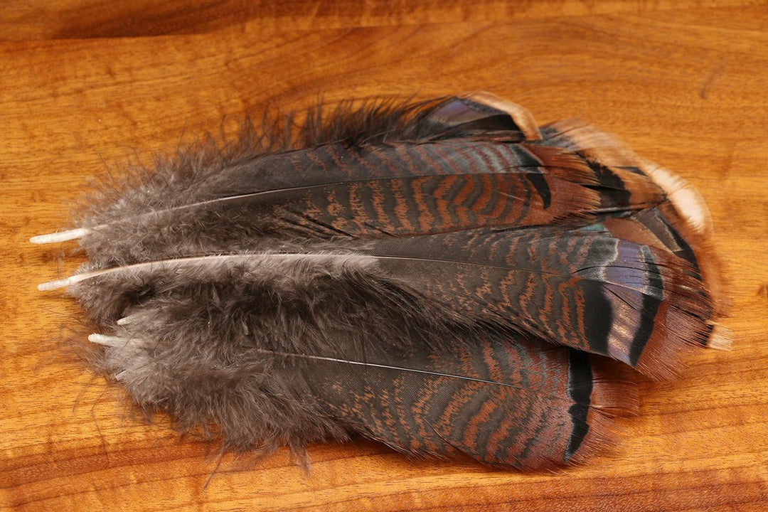 Hareline Turkey Shorts Mix | Tailwaters Fly Fishing