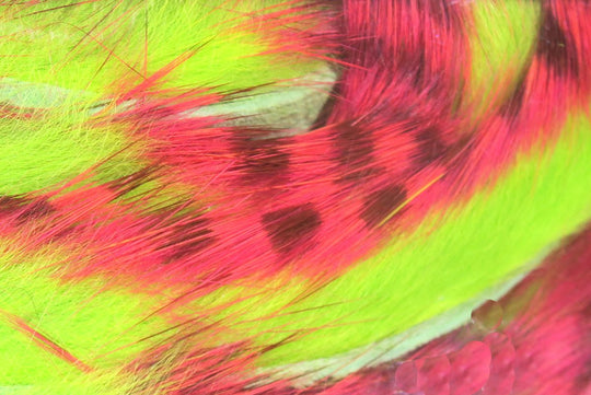 Hareline Magnum Tiger Barred Rabbit Strips