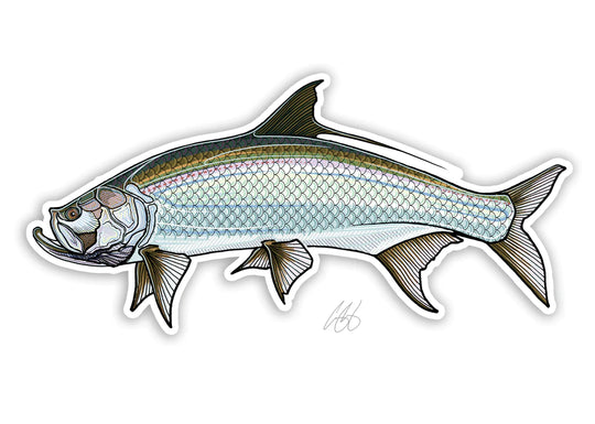 Casey Underwood Tarpon Decal, Display