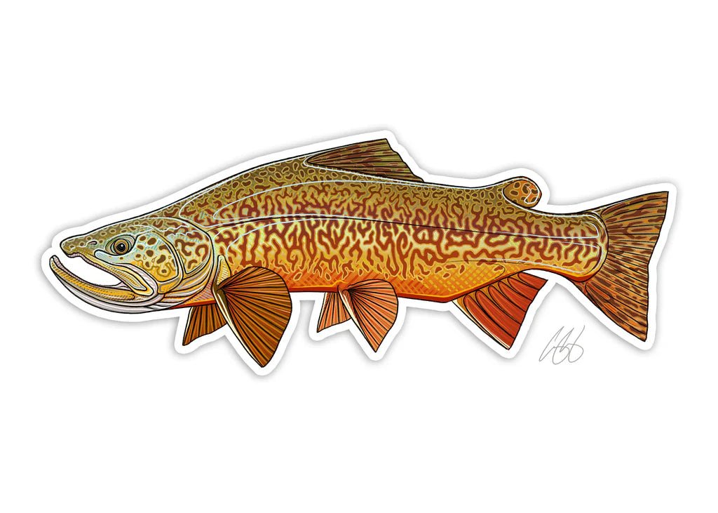 Casey Underwood Tiger Trout | Tailwaters Fly Fishing