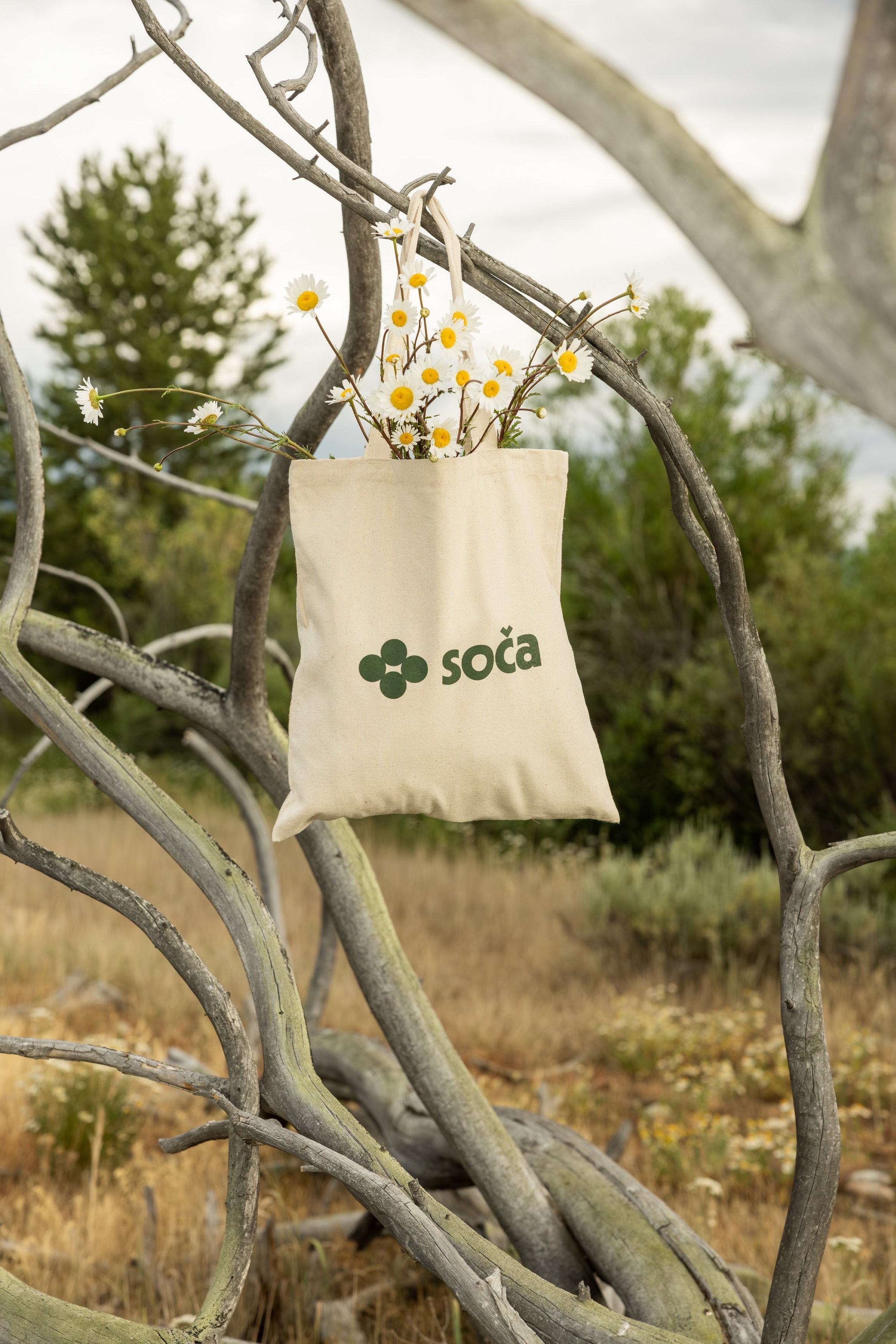 The Tote Bag | Tailwaters Fly Fishing